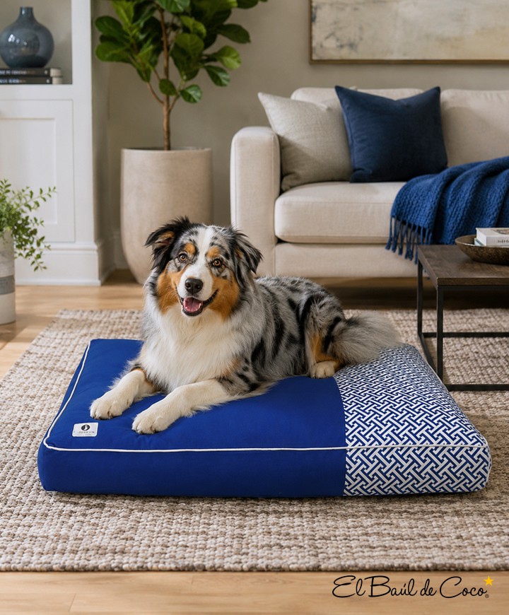 CAma Infinit Pillow