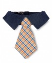 Blue Dandy