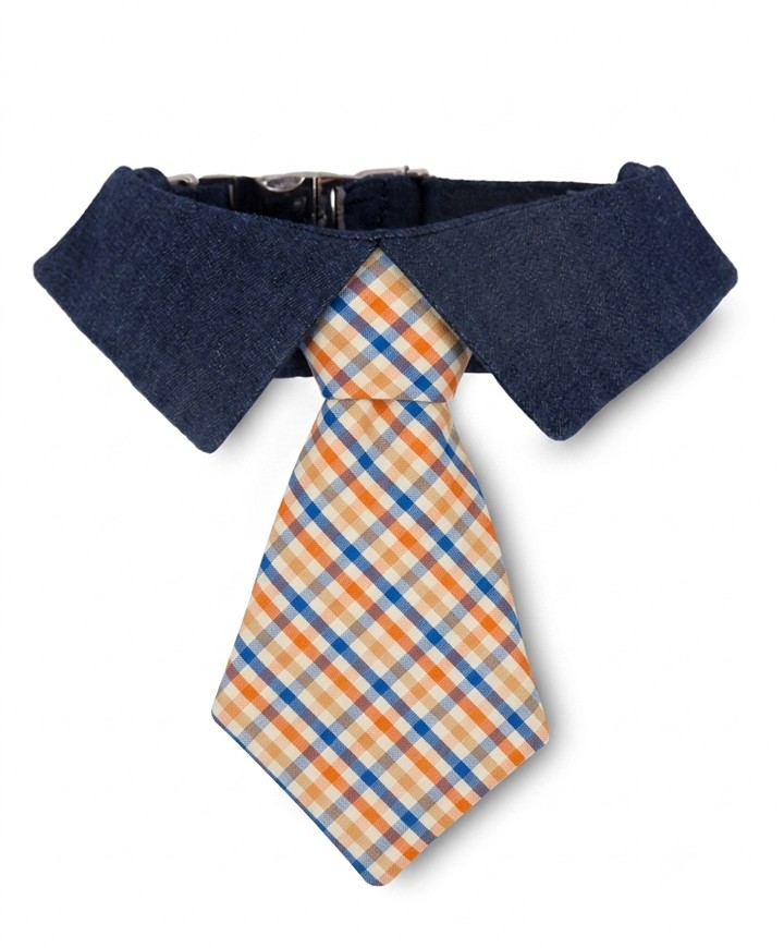 Blue Dandy